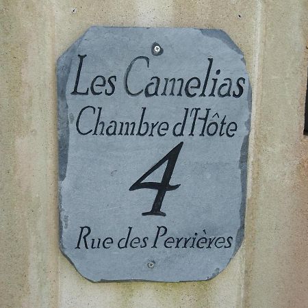 مبيت وإفطار بينيك Les Camelias المظهر الخارجي الصورة